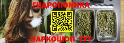 ECSTASY Гусиноозёрск