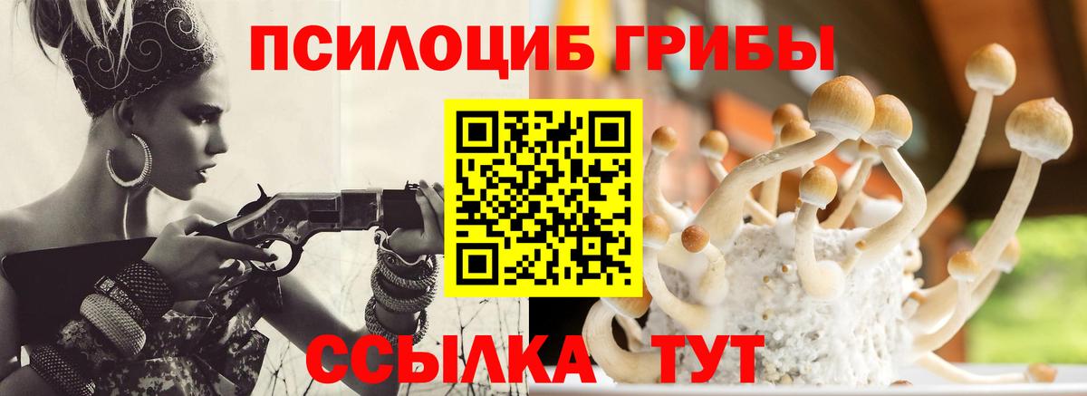 Псилоцибиновые грибы Magic Shrooms  Вход с VPN  Среднеуральск  Псилоцибиновые грибы ЛСД 
